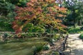 Higo Hosokawa Garden in Japan, Tokyo Landscape Royalty Free Stock Photo