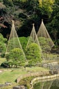 Higo Hosokawa Garden in Japan, Tokyo Landscape Royalty Free Stock Photo