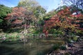 Higo-Hosokawa Garden in Japan, Tokyo Landscape Royalty Free Stock Photo