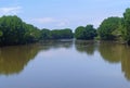 mangrove forest in Purworejo Cetral Java Indonesia