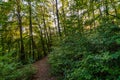 Hike at the golden hour to the famous Heidenhoehlen near Stockach on Lake Constance