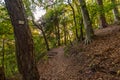 Hike at the golden hour to the famous Heidenhoehlen near Stockach on Lake Constance