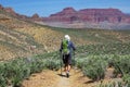 Hike in Grand Canyon Royalty Free Stock Photo