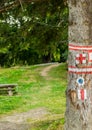 Hike marks painted on tree. Hiking signs. Hiking marks. Wooden table and bencj seen on the left. Red cross and on white square- Royalty Free Stock Photo