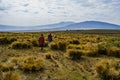 Masai guide hike in the mountains