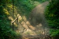 Hike path with mist at dawn