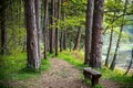 Hike path Royalty Free Stock Photo