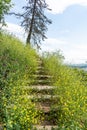 Hike path on the slope of Mtatsminda mount