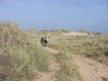 Hike through pristine Heathland Landscape