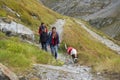 Hike with the saint bernard dog, Great St. Bernard Pass in Switzerland
