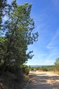 Hike in the Sierra de Andujar Natural Park, Jaen province, Spain Royalty Free Stock Photo