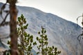 Hike in the Swiss national park in Graubunden Royalty Free Stock Photo