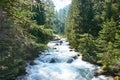 Hike in the Swiss national park in Graubunden Royalty Free Stock Photo