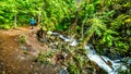 Hike to Whitecroft Falls on McGillivray Creek in BC Canada