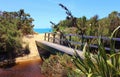 Hike towards Beach Paradise - footbrigde leading to Torrent Bay at Abel Tasman National Park in New Zealand