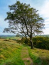 Hike up Bishop Hill, near Loch Leven, Perth and Kinross, Scotland