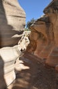 Willis creek slot canyon in escalante utah