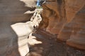 Willis creek slot canyon in escalante utah