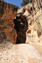 Willis creek slot canyon in escalante utah