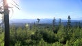 Hiked Mount Spokane and overlooked the sea of treas Royalty Free Stock Photo