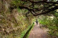 Hiker along a levada