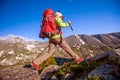 Hiker in Altai mountains