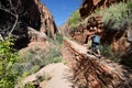 Hiker, Angels Landing trail in Zion National Park