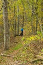 Hiker on the Appalachian Trail