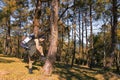 Hiker asian woman standing on forest autumn season. Traveler with backpack on hike in nature. Royalty Free Stock Photo