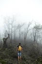 Hiker with backpack climbs through the destroyed forest on volcano after an ash eruption. Dead jungle with bare tree trunks and Royalty Free Stock Photo