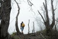 Hiker with backpack climbs through the destroyed forest on volcano after an ash eruption. Dead jungle with bare tree trunks and Royalty Free Stock Photo