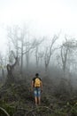 Hiker with backpack climbs through the destroyed forest on volcano after an ash eruption. Dead jungle with bare tree trunks and Royalty Free Stock Photo