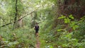 Hiker taking a walk in the forest, pontevedra, spain, europe