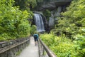 Man hiking in the North Carolina forest. Royalty Free Stock Photo