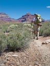 Hiker Backpacking in Grand Canyon