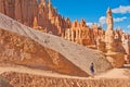 Hiker in Bryce Canyon National Park, Utah, USA Royalty Free Stock Photo