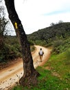 Hiker in Cerro Muriano, Province of Cordoba, Andalusia, Spain