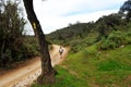 Hiker in Cerro Muriano, Province of Cordoba, Andalusia, Spain