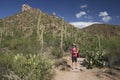 Hiker in the Desert - Saguaro National Park, Arizona