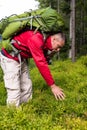 Hiker eating blueberries