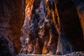 Hiker enjoying the view of The Narrows rugged walls in Zion canyon, in the Zion National Park Royalty Free Stock Photo