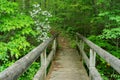 Hiker Footbridge and Mountain Laurel Royalty Free Stock Photo