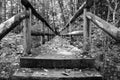 Hiker Footbridge Over Jennings Creek