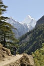 Hiker in Gangotri National Park