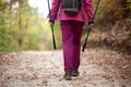Hiker girl walking away from camera on a wide trail in the mountains. Back view of backpacker with pink jacket in a forest. Royalty Free Stock Photo