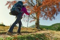 Hiker girl walks alone on a mountain trail