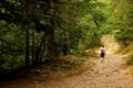 A hiker going for a walk at the distance on a pathway in a forest