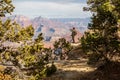 A hiker in the Grand Canyon National Park, South Rim, Arizona, USA Royalty Free Stock Photo