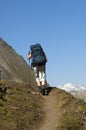 Hiker with a heavy backpack Royalty Free Stock Photo