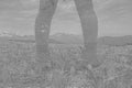 Hiker legs standing on crocus dried field engraving hand drawn sketch